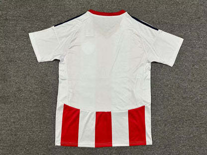 other team 2025/2026 Home Fan Version Football Jersey