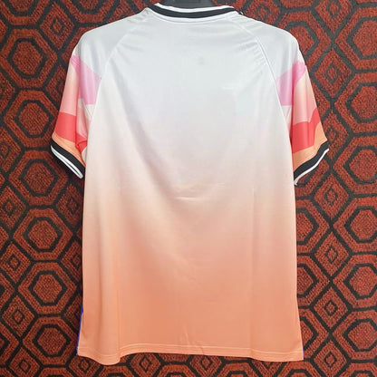 Japan Special Edition 2023/2024 Fan Version Football Jersey