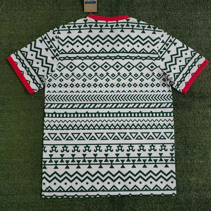 Nigeria Special Edition 2023/2024 Fan Version Football Jersey