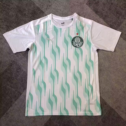 Palmeiras 2025/2026 Fan Version Tracksuit
