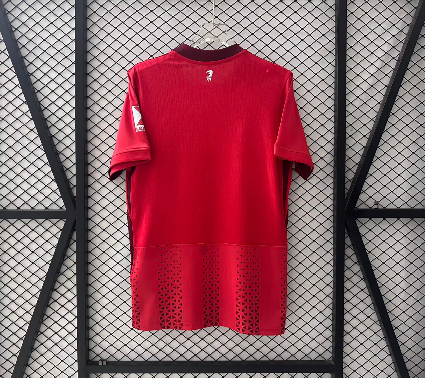 Germany-Bundesliga 2025/2026 Home Fan Version Football Jersey