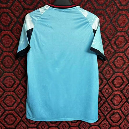 Japan Special Edition 2024/2025 Fan Version Football Jersey