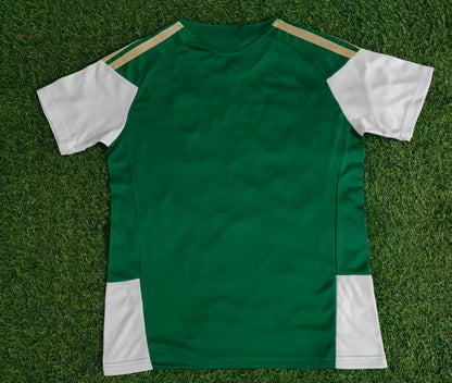 Italy Special Edition 2025/2026 Fan Version Football Jersey