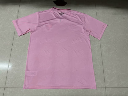 other team Special Edition 2024/2025 Fan Version Football Jersey
