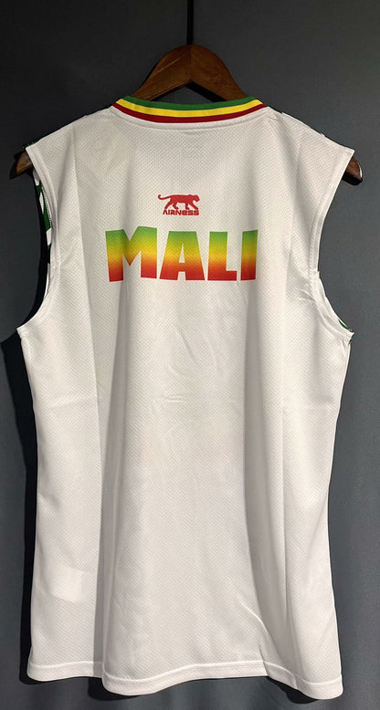 Mali Special Edition 2023/2024 Fan Version Football Jersey