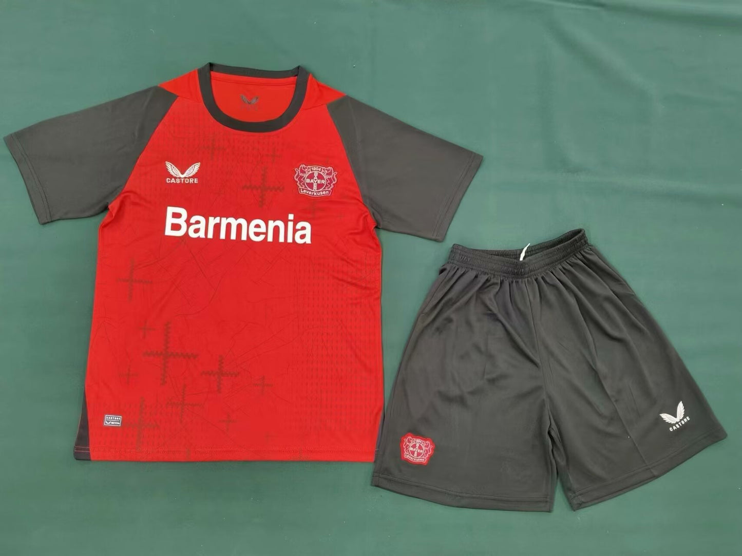 Leverkusen 2024/2025 Home Fan Version Football Jersey