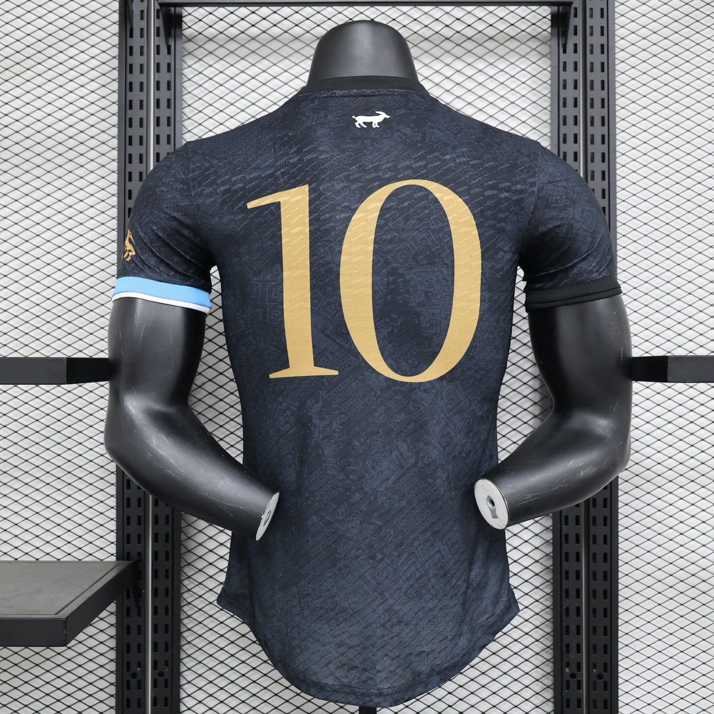 Argentina Special Edition 2024/2025 Player Version Football Jersey