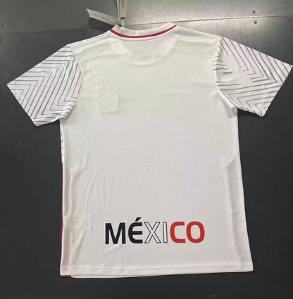 Mexico 2023/2024 Fan Version Tracksuit