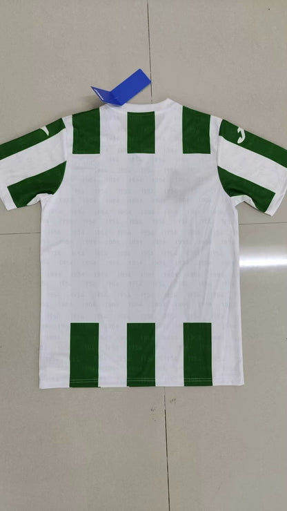 other team 2024/2025 Home Fan Version Football Jersey