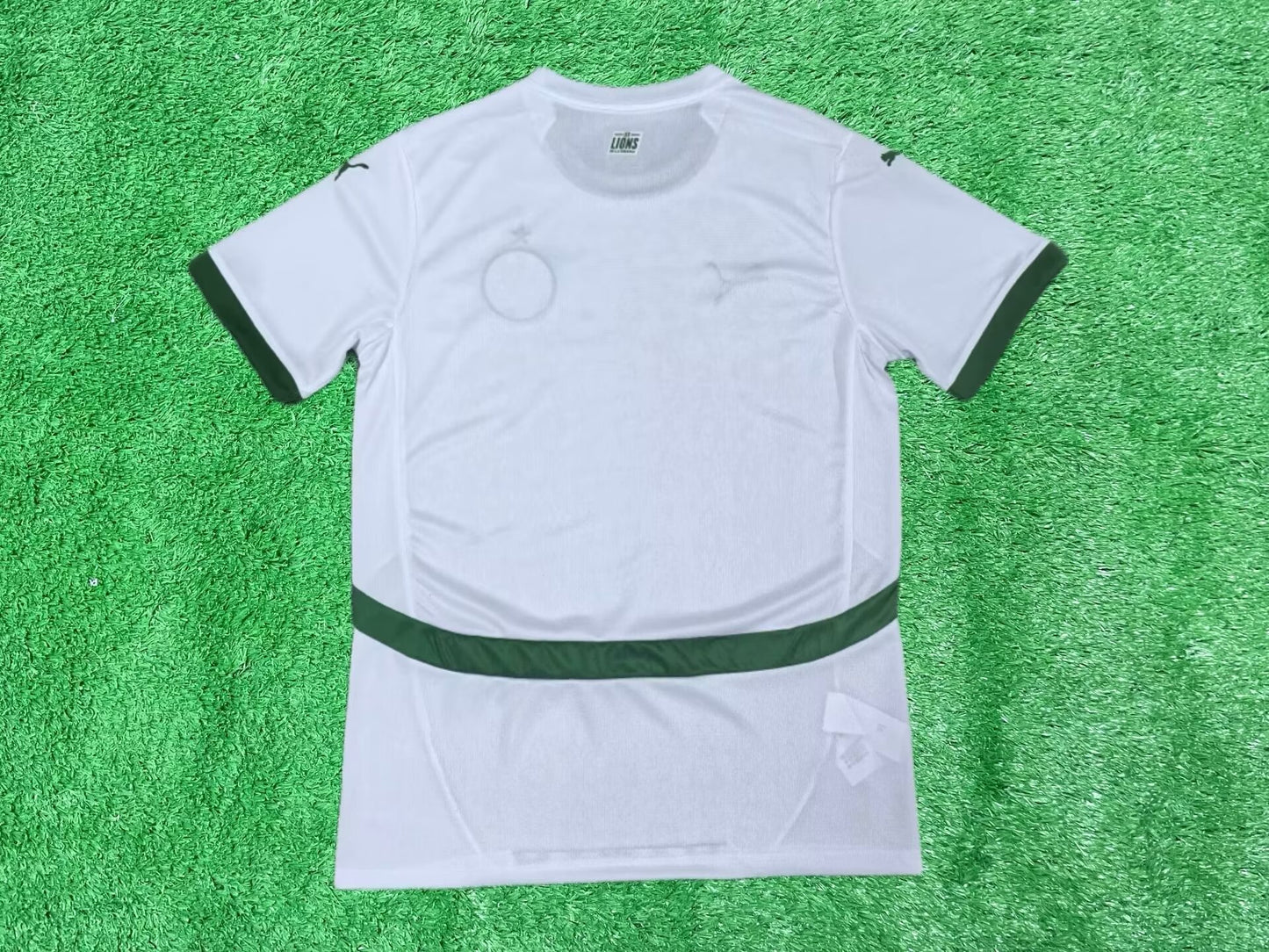 Senegal 2024/2025 Home Fan Version Football Jersey