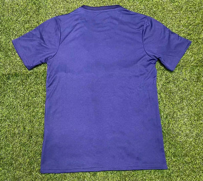 Napoli Special Edition 2023/2024 Fan Version Football Jersey