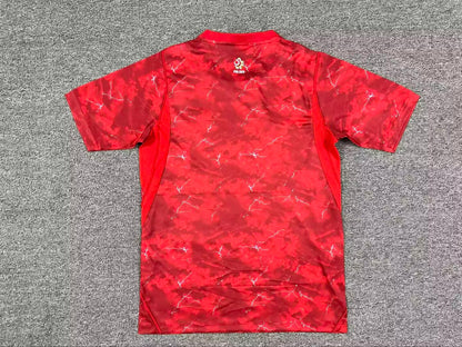 Poland 2026/2027 Away Fan Version Football Jersey