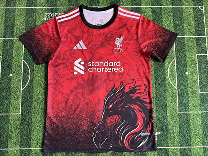 Liverpool Special Edition 2024/2025 Fan Version Football Jersey