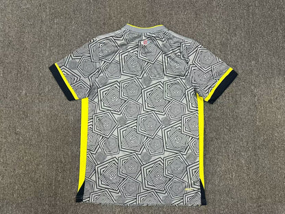 Lille 2024/2025 Third Away Fan Version Football Jersey
