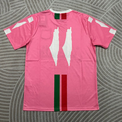 Palestino Special Edition 2026/2027 Fan Version Football Jersey