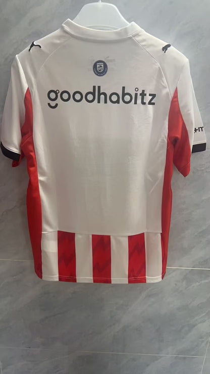 PSV eindhoven 2024/2025 Home Fan Version Football Jersey