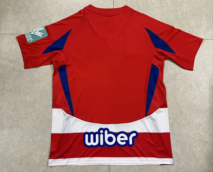 other team 2024/2025 Home Fan Version Football Jersey