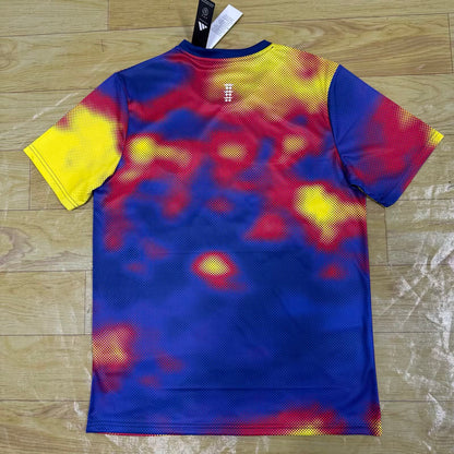 Ajax Special Edition 2025/2026 Fan Version Football Jersey