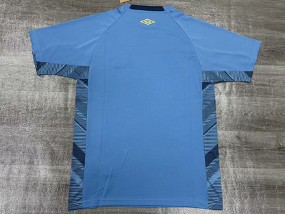 Grêmio 2025/2026 Goalkeeper Fan Version Football Jersey