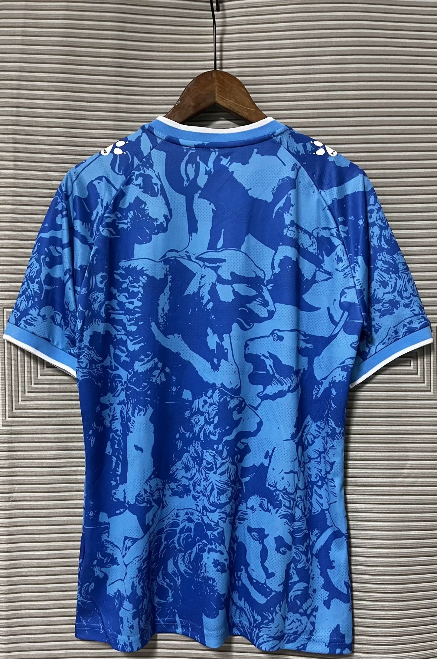 other team 2024/2025 Home Fan Version Football Jersey