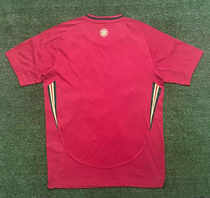 Welsh 2024/2025 Home Fan Version Football Jersey