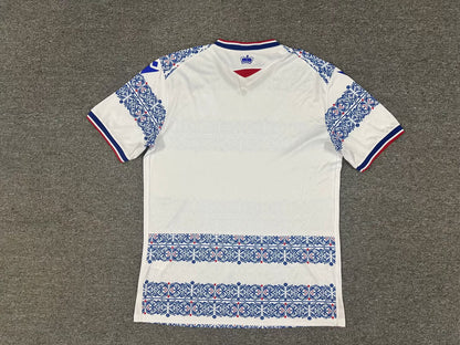 Reading 2025/2026 Home Fan Version Football Jersey