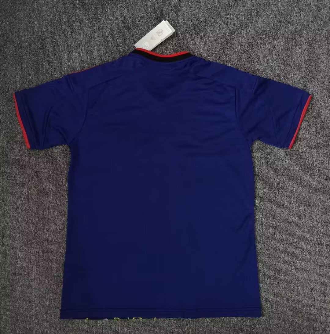 Japan Special Edition 2024/2025 Fan Version Football Jersey