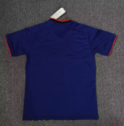 Japan Special Edition 2024/2025 Fan Version Football Jersey