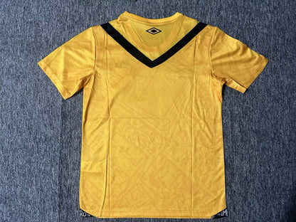 other team Special Edition 2024/2025 Fan Version Football Jersey