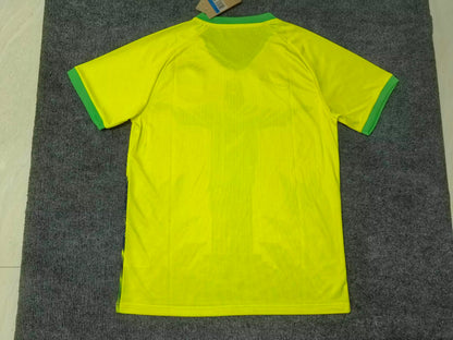 Brazil Special Edition 2025/2026 Fan Version Football Jersey