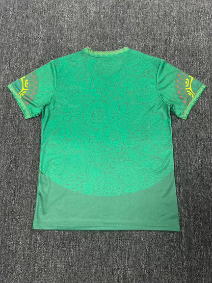 Mali Special Edition 2025/2026 Fan Version Football Jersey