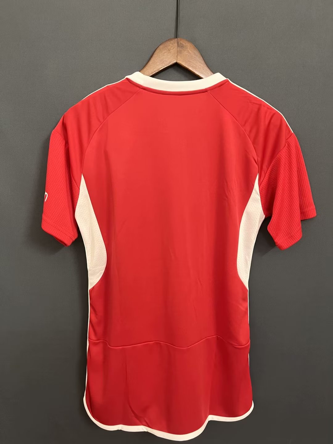 England Other Clubs 2023/2024 Home Fan Version Football Jersey