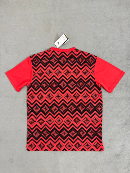 Egypt Special Edition 2025/2026 Fan Version Football Jersey