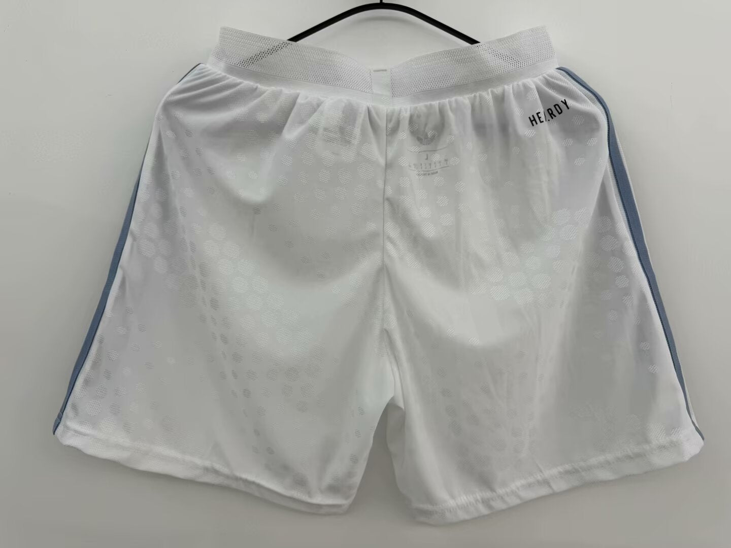 Argentina Special Edition 2024/2025 Player Version Football Jersey