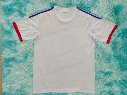 Retro Lyon 2012/2013 Home Fan Version Football Jersey