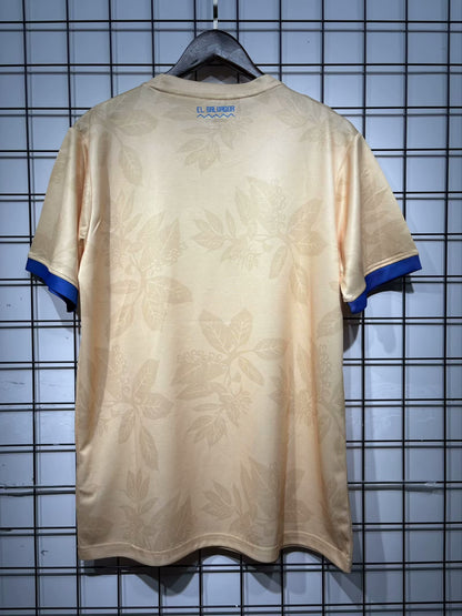 other national team Special Edition 2025/2026 Fan Version Football Jersey