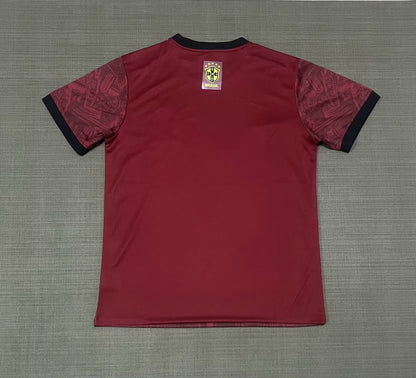Brazil Special Edition 2025/2026 Fan Version Football Jersey