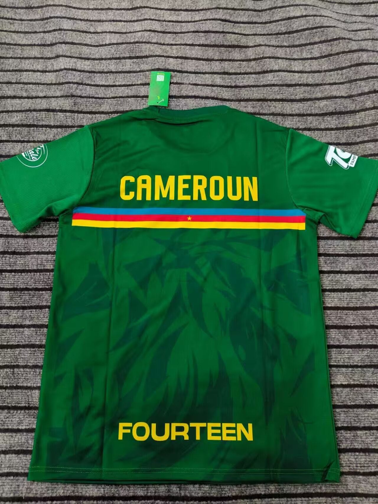 Cameroon 2025/2026 Fan Version Tracksuit