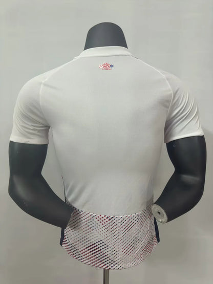 Lille 2025/2026 Away Player Version Football Jersey