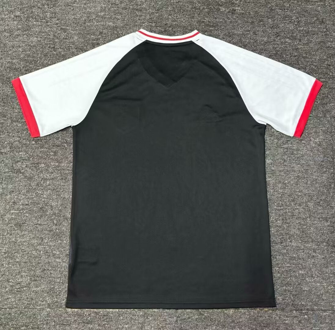 Japan Special Edition 2024/2025 Fan Version Football Jersey