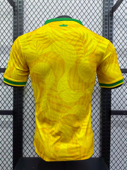 Brazil Special Edition 2024/2025 Player Version Football Jersey
