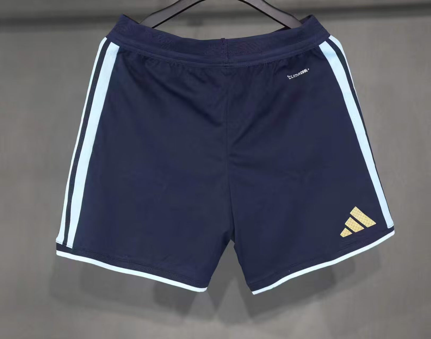 Argentina 2026/2027 Home Player Version Football Jersey