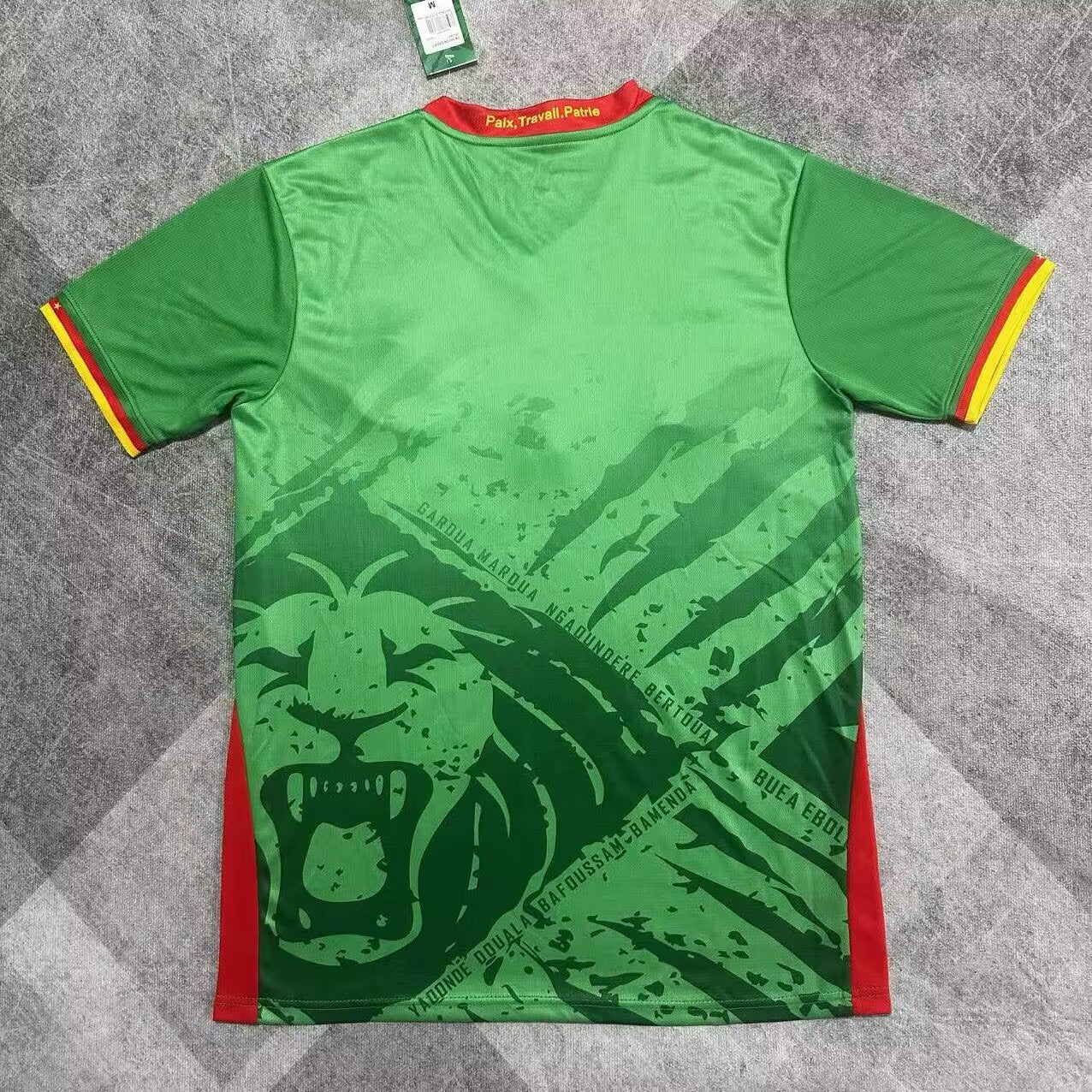 Cameroon 2025/2026 Home Fan Version Football Jersey
