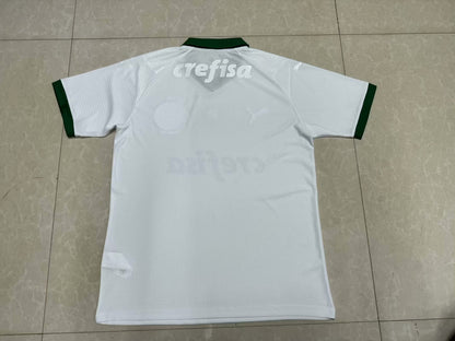 Palmeiras Special Edition 2024/2025 Fan Version Football Jersey