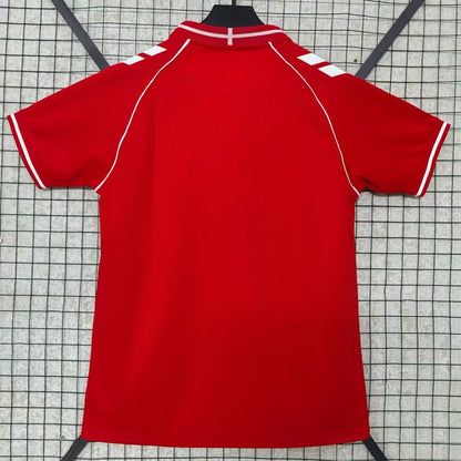 Denmark Away Jersey 2026-2027