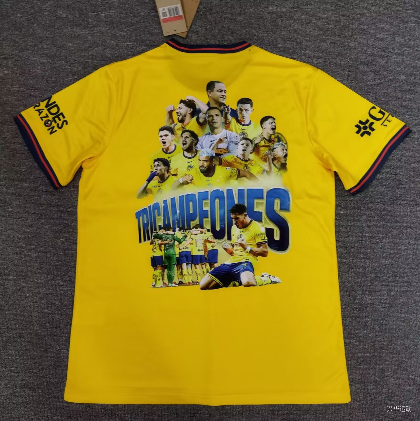 Club America 2024/2025 Fan Version Football Jersey