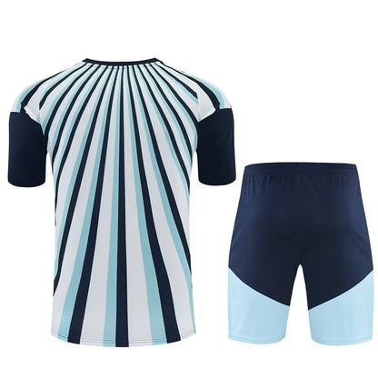 Argentina Training Kits Blue White (Kids And Man 16-2XL) Jersey 2026-2027