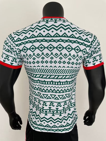 Nigeria Special Edition 2023/2024 Player Version Football Jersey