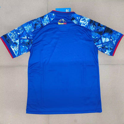 Japan Special Edition 2024/2025 Fan Version Football Jersey
