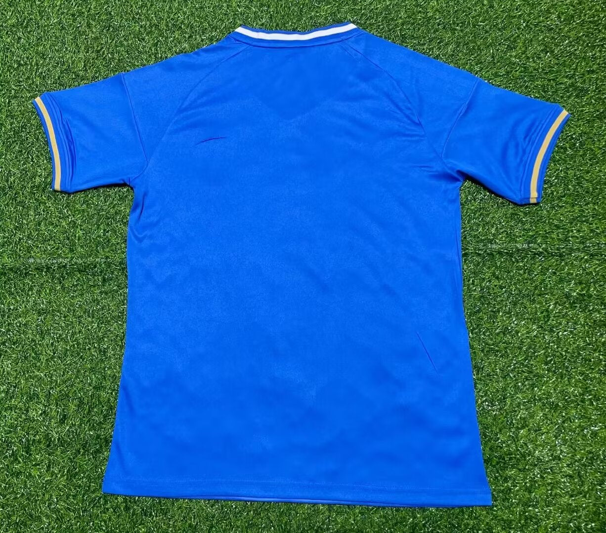 Italy Special Edition 2023/2024 Fan Version Football Jersey